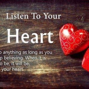 Meet your Posher, Lester